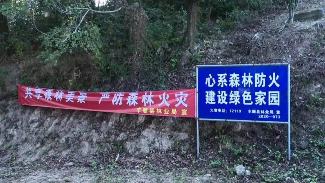 灭火装置自动灭火系统_灭火装置自动检测启动盘_自动灭火装置