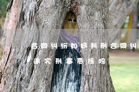 设备合同 欠款_设备合同付款_设备款欠条