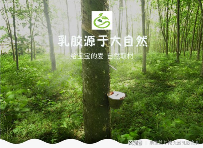 橡胶天然硫化体系图_天然橡胶硫化发展历程_天然橡胶硫化体系