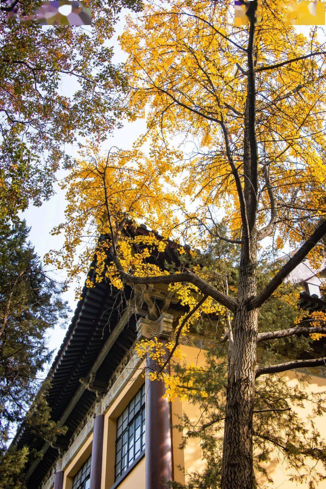 教材工程系统包括哪些_系统工程 教材_教材工程系统有哪些