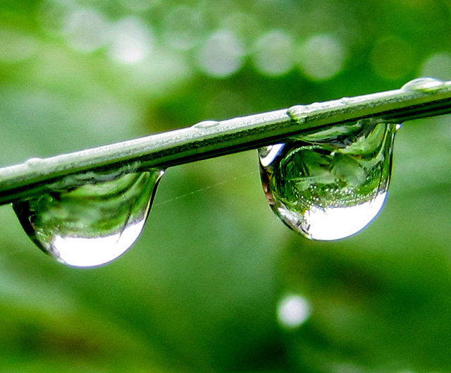 硝酸铵溶固体溶于水_水溶于硝酸铵_硝酸铵溶于水的过程体系