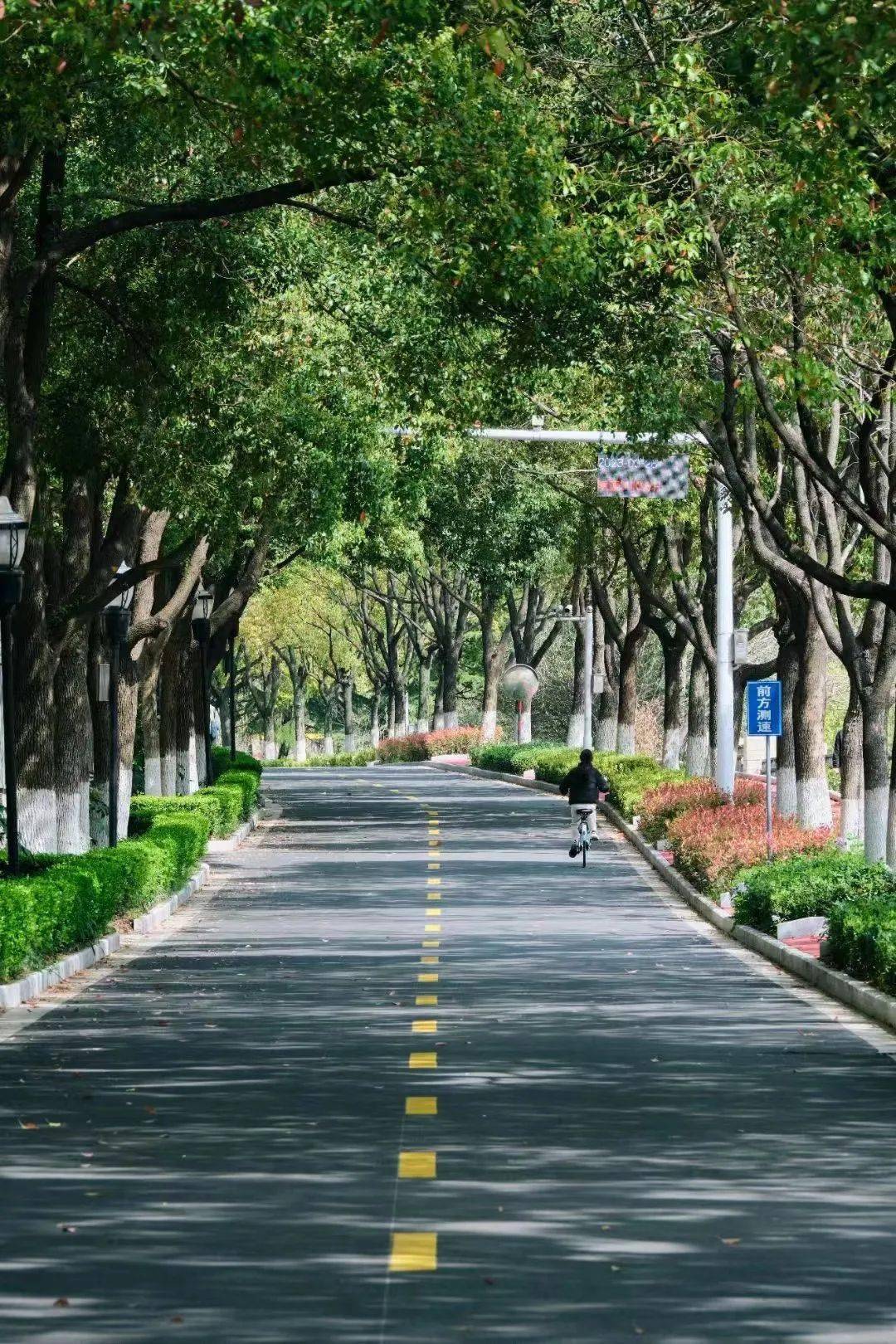 学报查询_学报稿件管理系统_系统管理学报