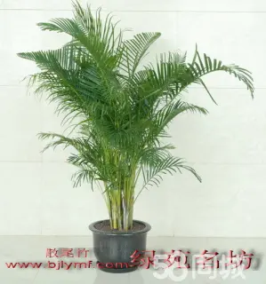 客户端软件什么意思_客户软件_宜搜+软件客户端