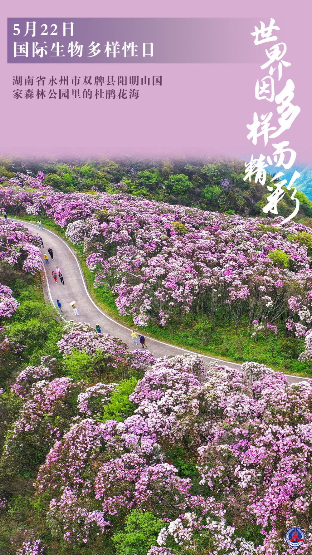 国际环球旅游平台_环球旅游平台官网_环球旅游网站