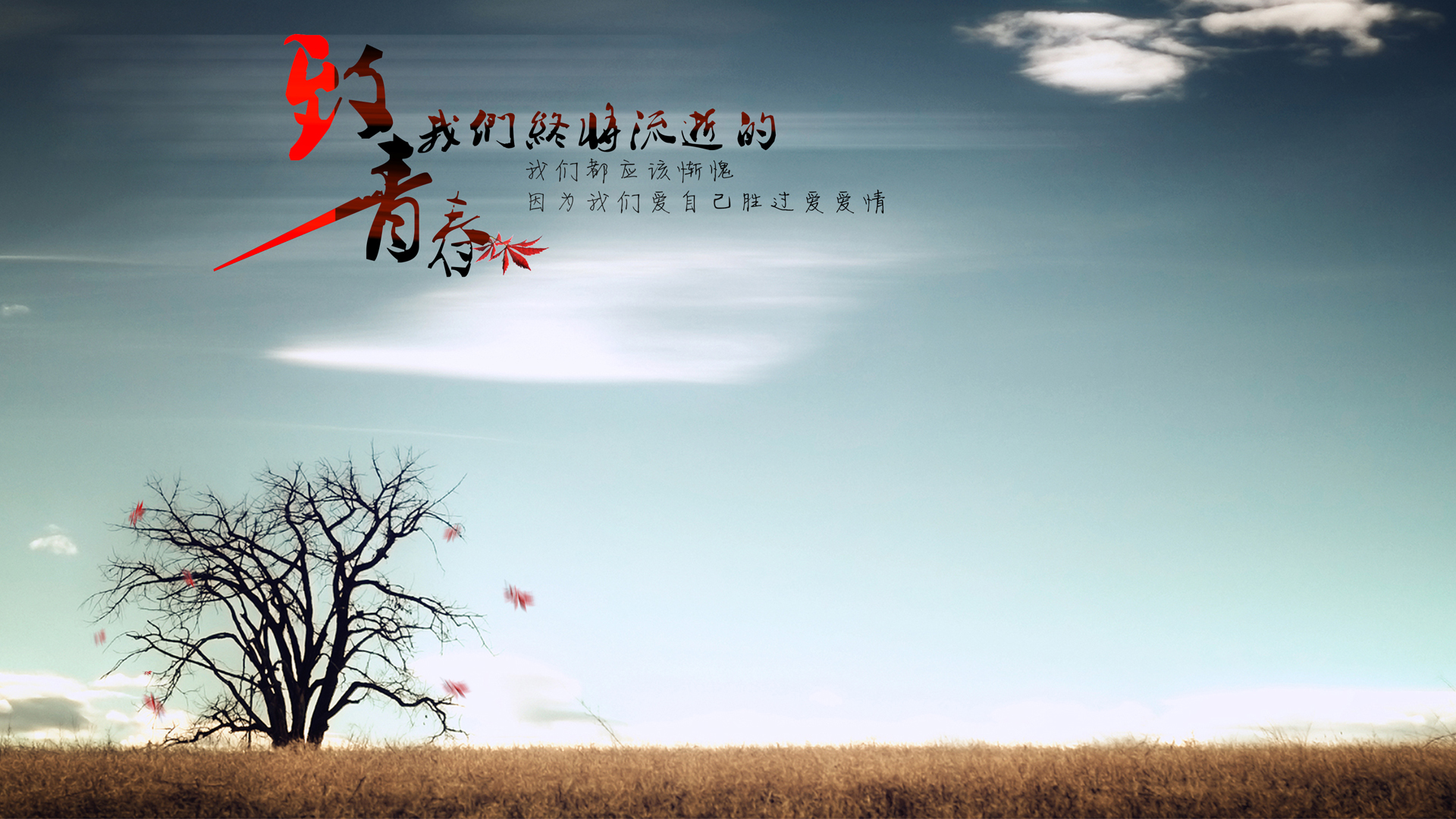 静态空间的图片_静态空间什么意思_qq空间静态界面