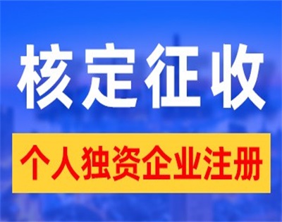 广西地税网_广西税局网站_广西地税局统一平台