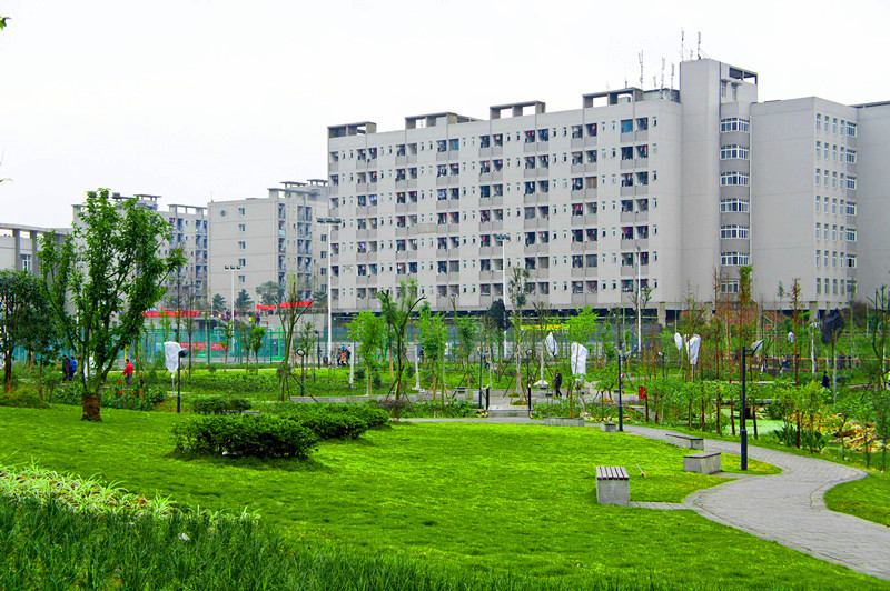 重庆大学软件学院研究生招生_重庆大学软件工程硕士自主招生_重庆大学软件工程专硕