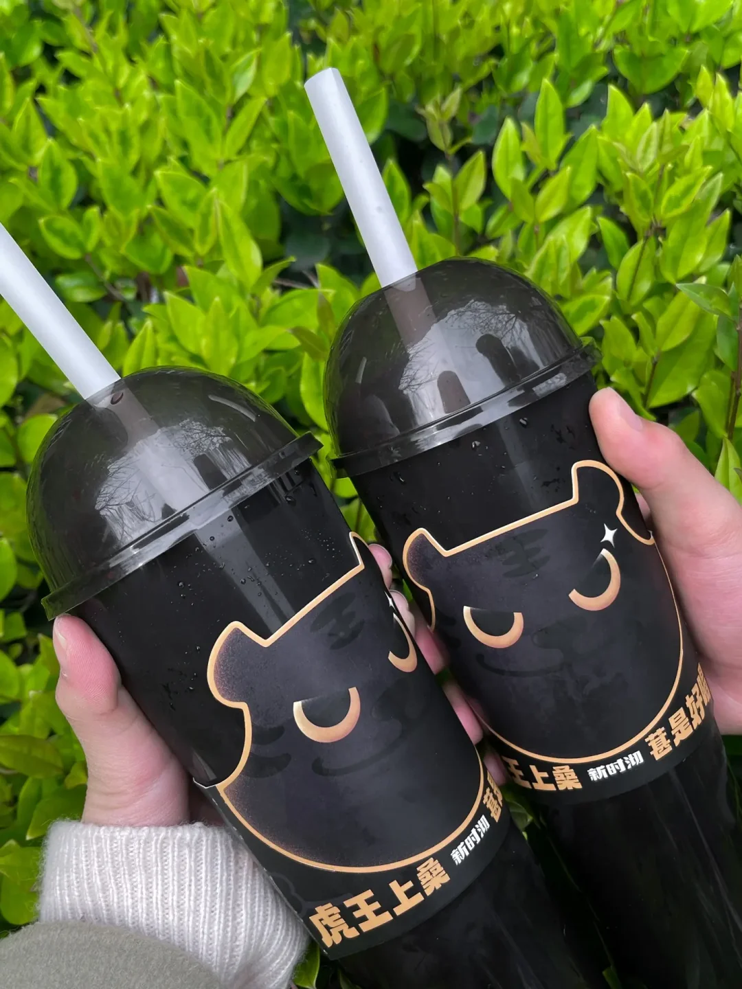 奶茶杯 设备_奶茶杯机器多少钱一台_奶茶杯生产设备全套价格表
