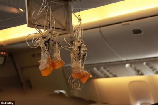 制备氯酸钾的方程式_制备氯酸钾_氯酸钾的制取装置图