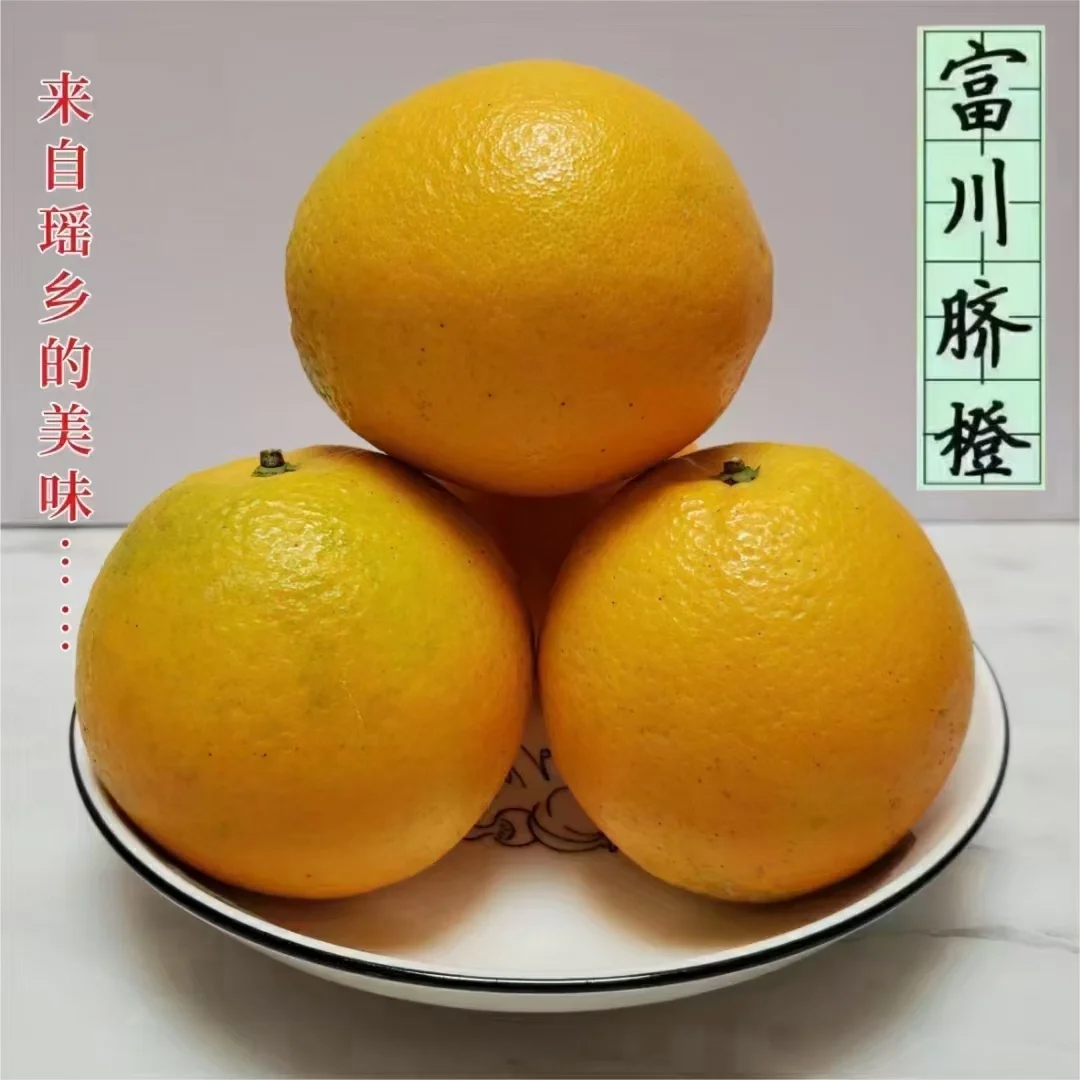 香榧制作工艺流程_香榧子加工_香榧加工工艺和设备