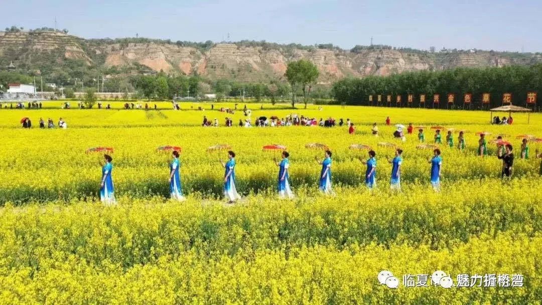 技术支持祥云平台_花桥 祥云平台_机械祥云平台
