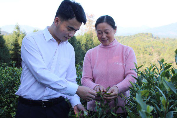燃煤锅炉烟气除尘系统的设计_某燃煤采暖锅炉房烟气除尘系统设计_锅炉房采暖烟气除尘燃煤设计图