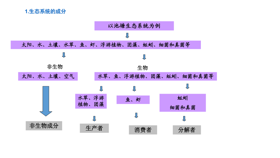 简述生态理论系统的内容_生态系统理论 简述_请论述生态系统理论