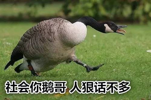 体系文件包括哪三个层次_体系文件包括哪些_质量体系文件包括