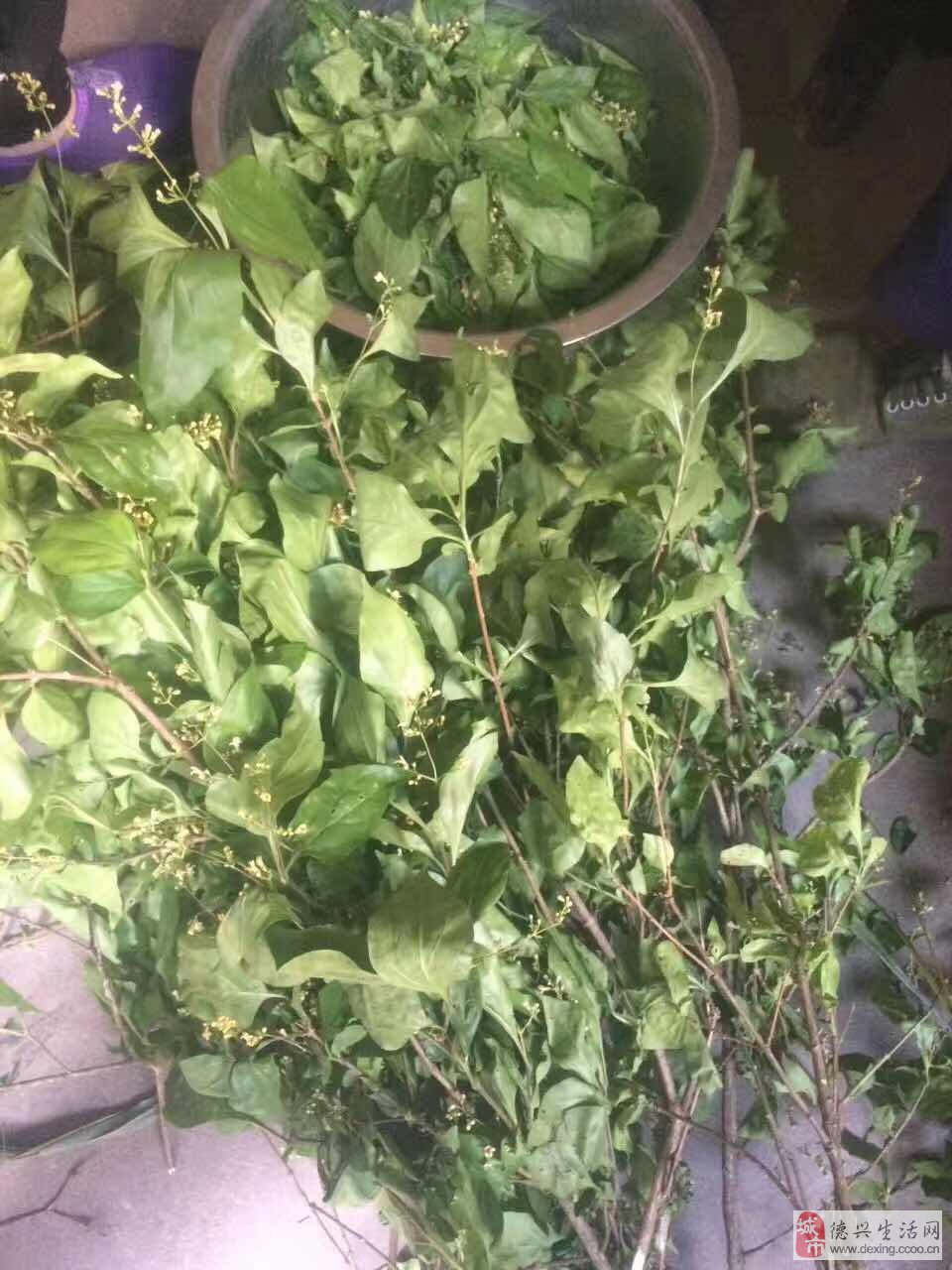 微博的算法机制_新浪微博算法工程师_九章算法微博