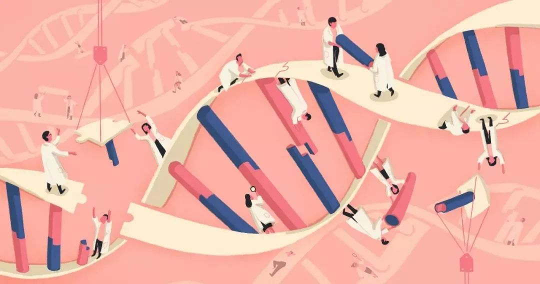 系统科学与复杂性科学_科学复杂性系统包括哪些_科学复杂性系统有哪些