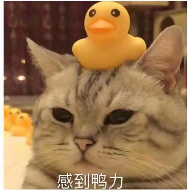 遍历算法_遍历算法流程图_算法遍历缝格数