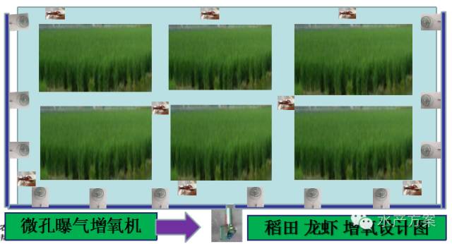 小龙虾立体养殖设备_室内养殖龙虾设备_养殖龙虾视频