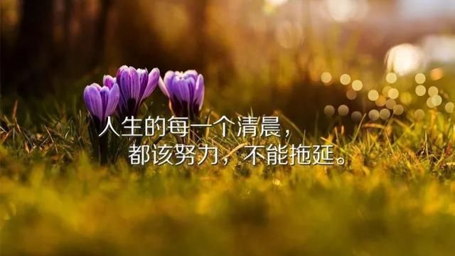 微信句子公众号_微信公众平台欢迎语句_微信公众号欢迎语文案