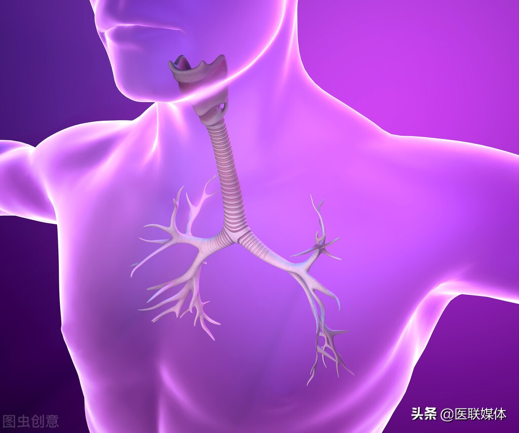 呼吸系统组成示意图_呼吸示意动图_呼吸的示意图结构