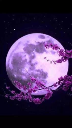 波音博彩平台_波音博彩平台_波音博彩平台