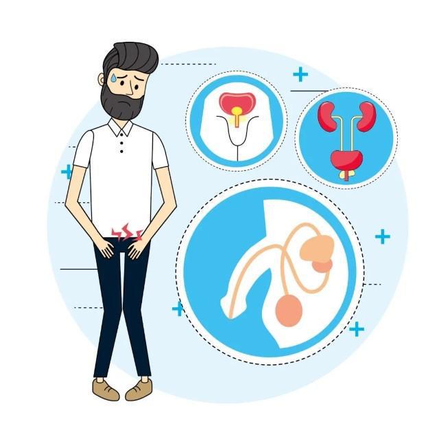 男性泌尿系统感染的常见原因_男性秘尿系统疾病_男性秘尿道感染的症状及治疗