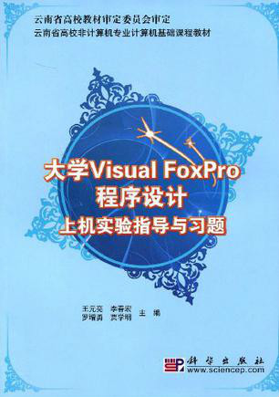 应用系统开发工具_应用开发和系统开发的区别_foxpro及其应用系统开发