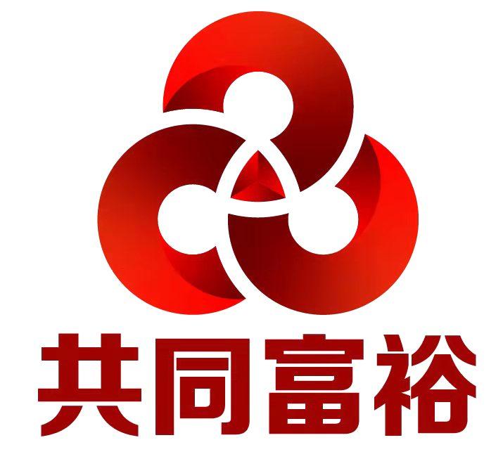 共同富裕体系_共同富裕系统_共同富裕机制