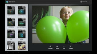 安卓系统snapseed教程,轻松掌握手机修图利器