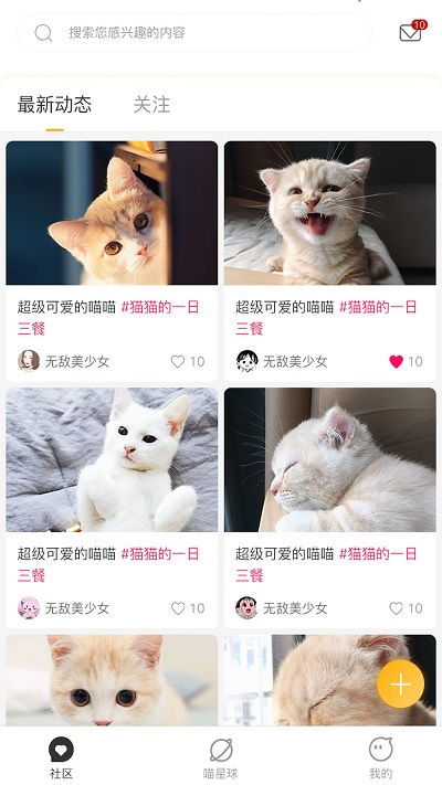 云养猫安卓系统版本,轻松入门养猫生活