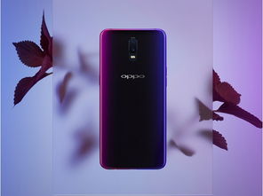 oppo 安卓4.5系统下载,下载与体验概览