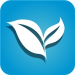 叶子tv破解版电视盒子新版本 
