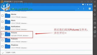 安卓系统怎么导出相片,多种方法助你高效备份照片