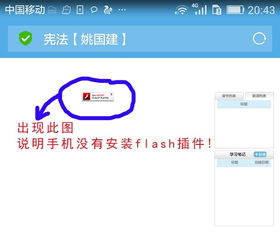 安卓系统怎么播放flash,轻松体验经典Flash内容