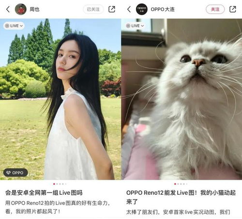 安卓系统微博可以看live吗,畅享精彩瞬间
