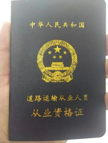 安卓系统货运资格证题,顺利通关