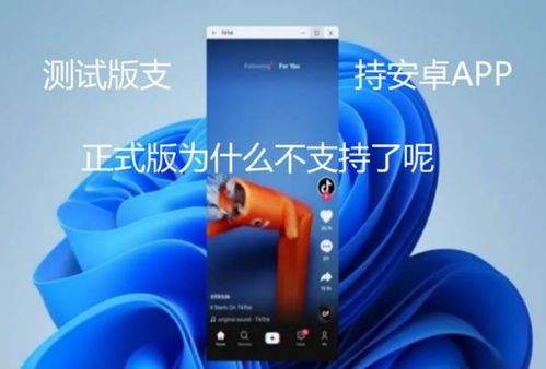 安卓兼容哪些系统好一点,哪些操作系统更胜一筹