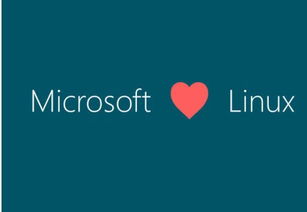 安卓开发需要了解linux系统吗,Linux系统知识概览