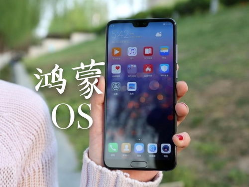 华为p20怎样恢复安卓系统,轻松找回流畅体验