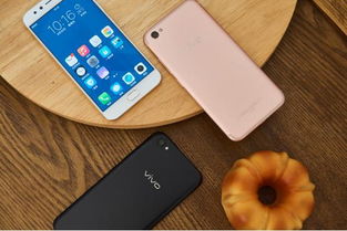 怎么在vivo手机上运行安卓系统,操作指南与技巧解析