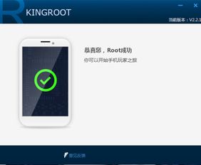 安卓手机root后删系统软件,Root后删除安卓系统软件的实用指南