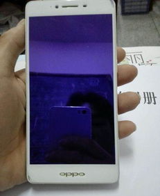 oppor7sm刷安卓7.0系统,OPPO R7s升级安卓7.0系统攻略解析