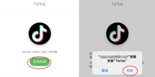安卓系统装国际版抖音,安卓系统上体验国际版抖音的魅力