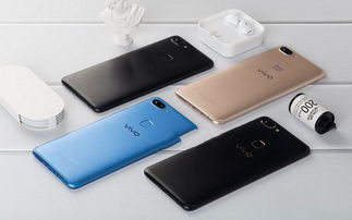 vivo x20刷安卓原生系统,体验纯净流畅新篇章